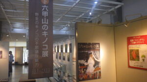 第8回六甲山のキノコ展 in 森林植物園　～御影高生による展示解説～ @ 神戸市立森林植物園