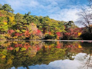 世界の森のもみじ巡り「森林もみじ散策」 @ 神戸市立森林植物園