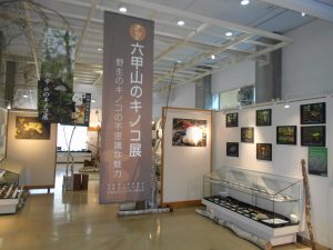 第6回六甲山のキノコ展 @ 神戸市立森林植物園