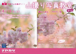 山撮り写真教室ーサクラ桜ー @ 摩耶ケーブル 虹の駅集合