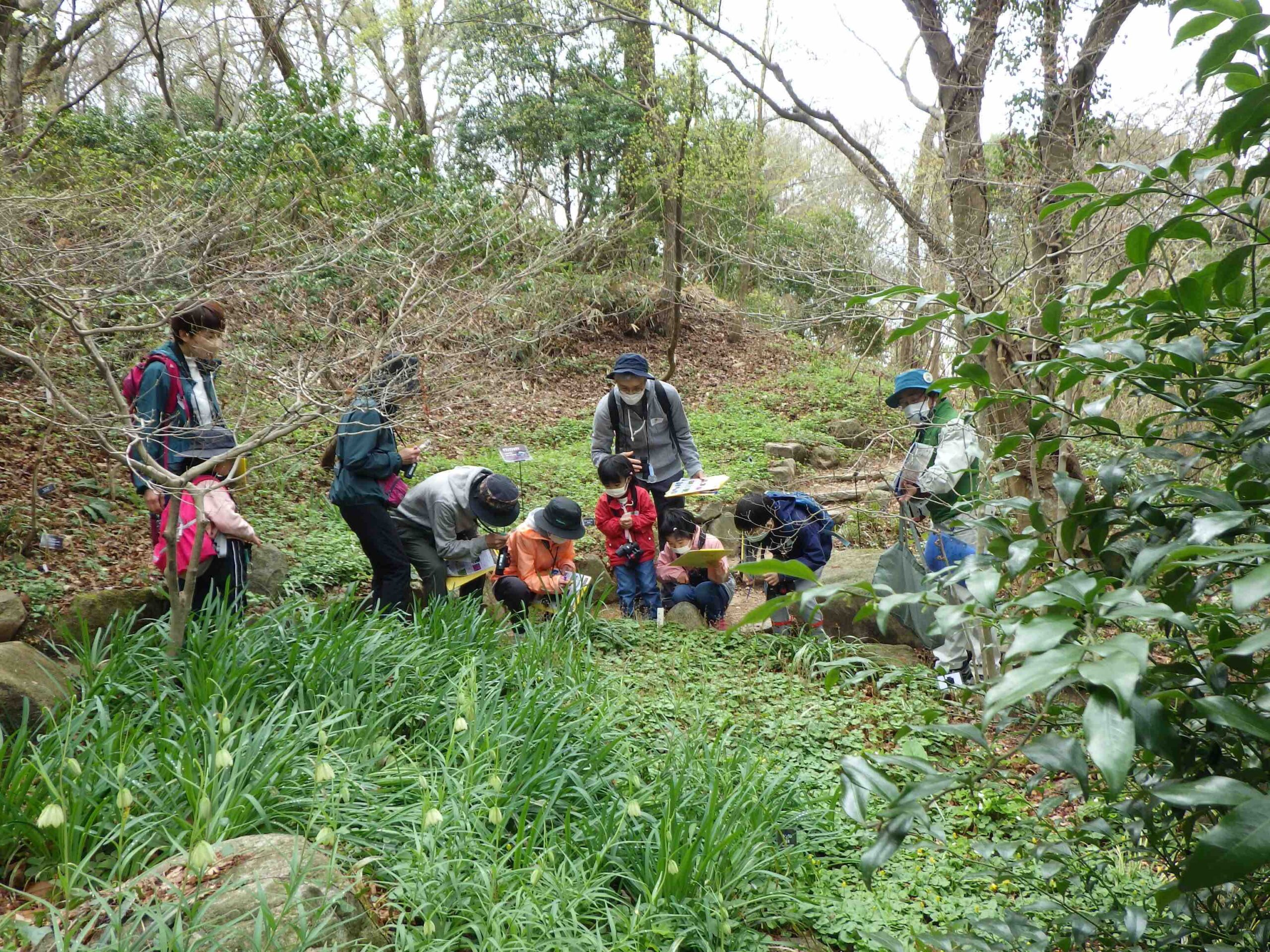 春が来た！子どものための森林ガイドツアー @ 神戸市立森林植物園