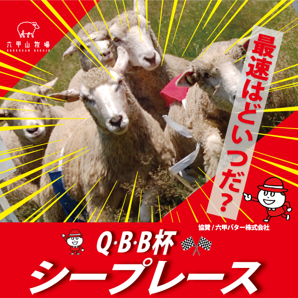 QBB杯シープレース @ 神戸市立六甲山牧場