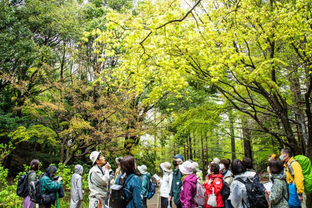 自然観察講座-第1回 @ 神戸市立森林植物園