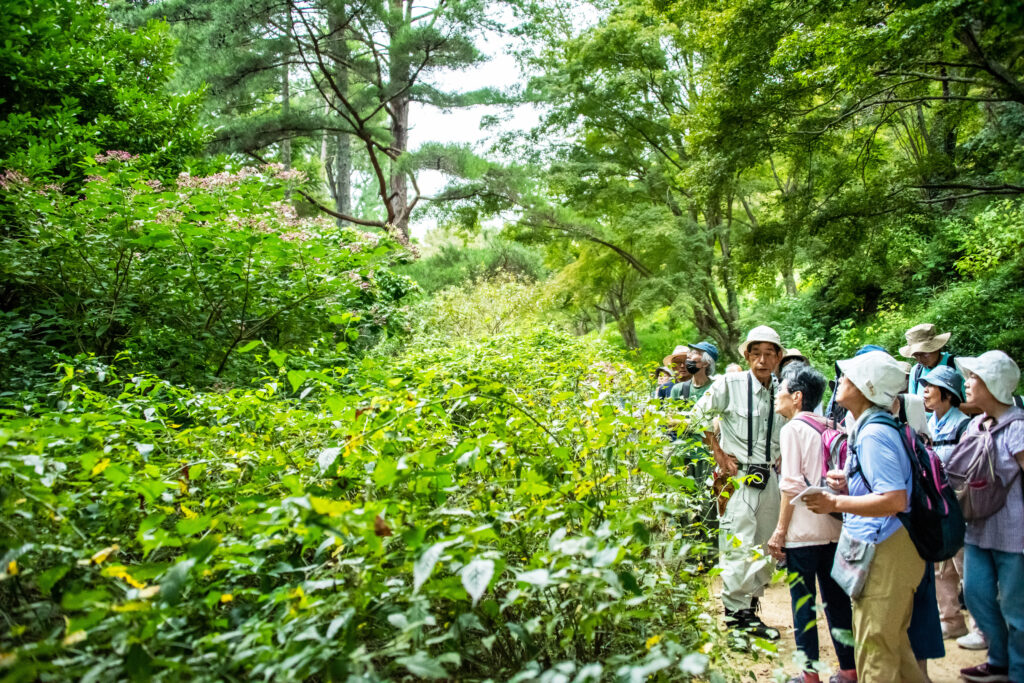 自然観察講座-第6回 @ 神戸市立森林植物園