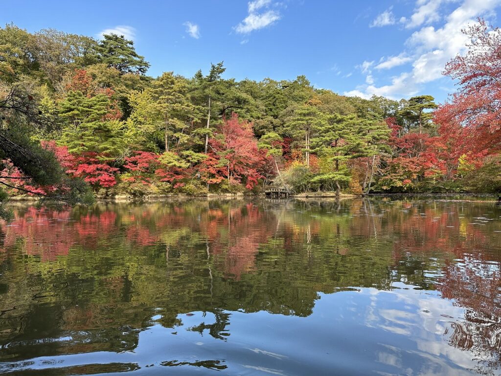 世界の森のもみじ巡り「森林もみじ散策」 @ 神戸市立森林植物園