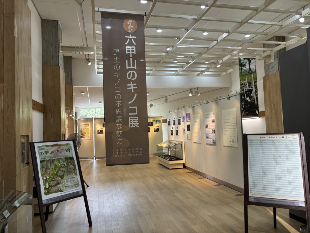 第９回六甲山のキノコ展 in 森林植物園　～御影高生による展示解説～ @ 神戸市立森林植物園